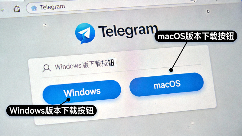 Telegram官方网站下载页面截图，标注了Windows和macOS版本的正确下载按钮位置