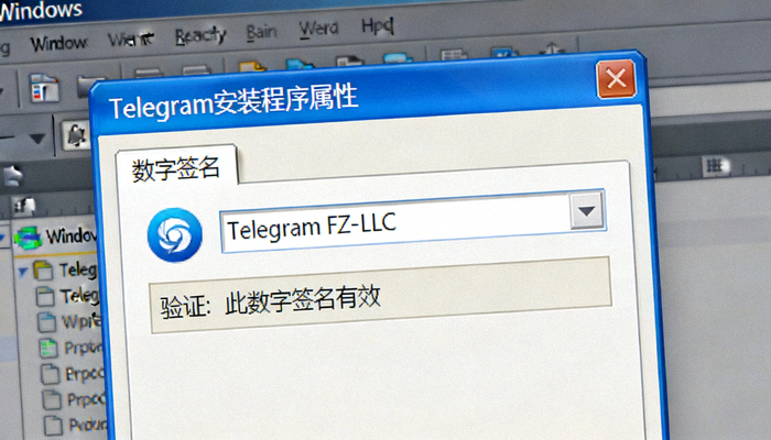 Windows系统属性对话框中显示Telegram安装程序有效数字签名的截图