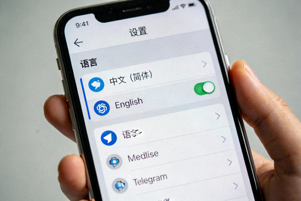 Telegram设置页面中语言选项的截图，展示中文和英文选项列表