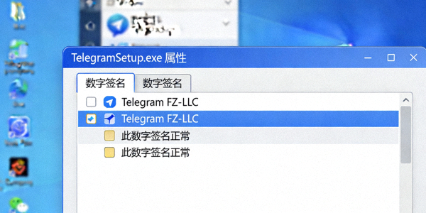 在Windows文件属性中查看Telegram安装程序数字签名的截图